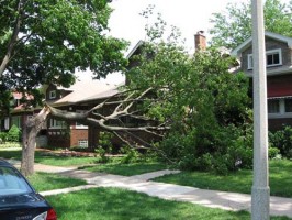 2007_0607winddamage01