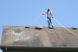 roof cleaning auburn