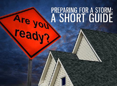 Preparing for a Storm: A Short Guide
