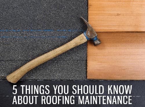 Things You Should Know About Roofing Maintenance