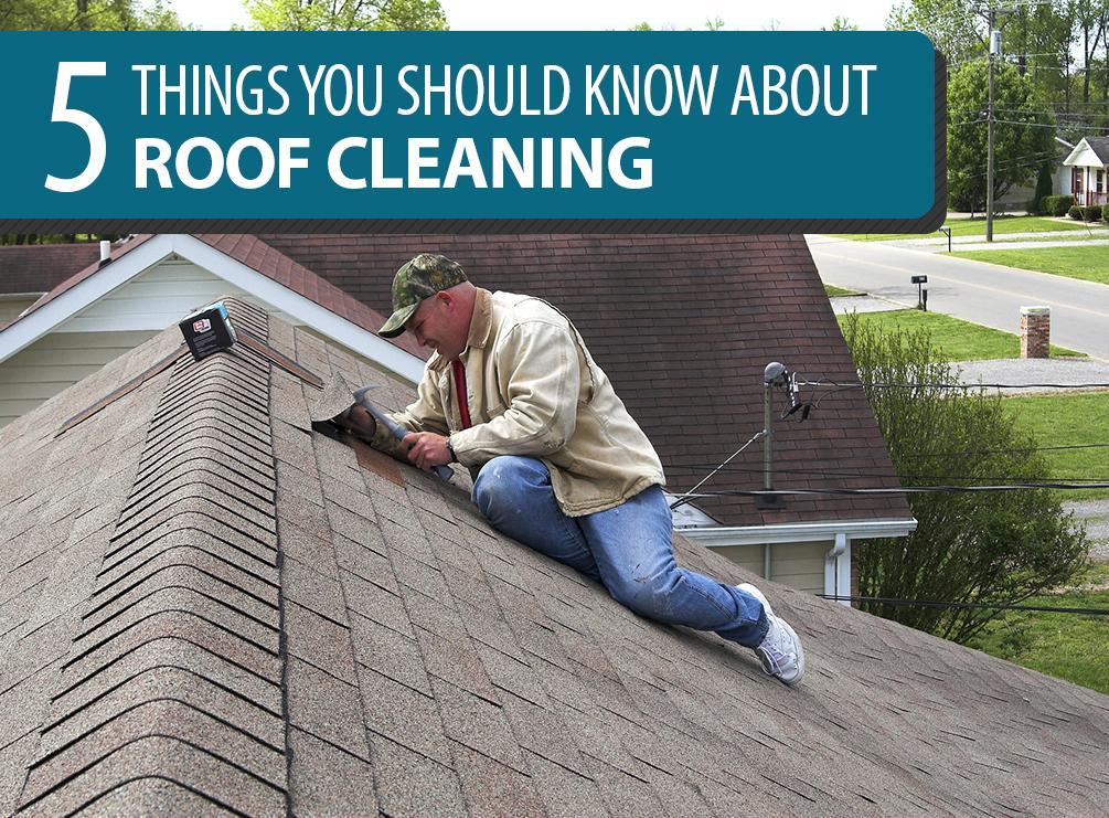 Roof Cleaning