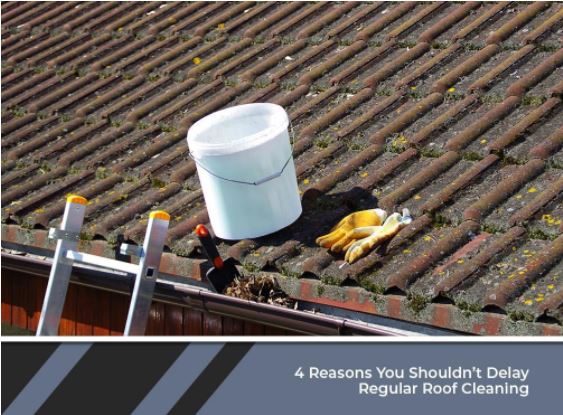 Roof Cleaning