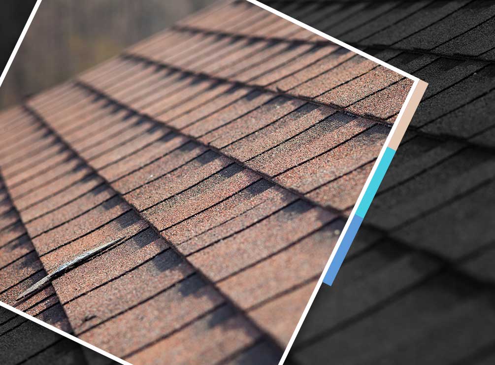 Roof Cleaning and Repair