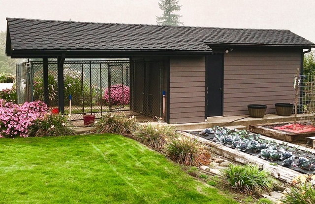 Professional Des Moines roof installation in WA near 98198