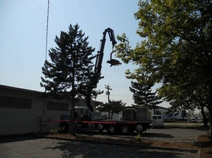 Auburn Single Ply Roof Membrane materials in WA near 98092