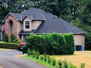 Fircrest Composition Roof